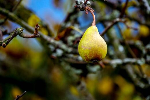 71186262_2363059580615624_6985295945055338496_o